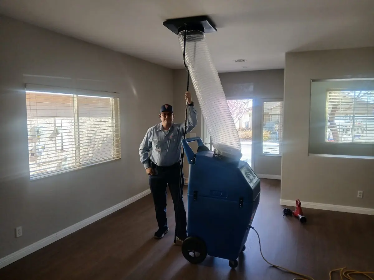 Professional Dryer Vent Cleaning work inside a Wausau home